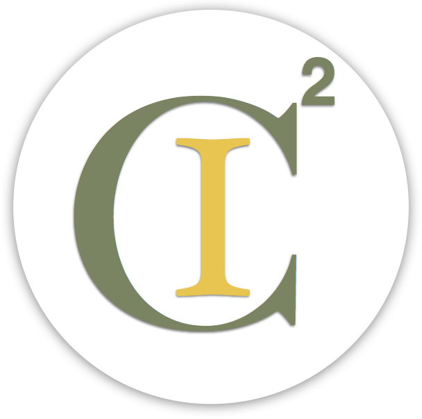 The Carolyn Costin Institute